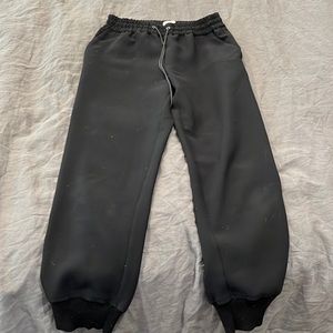 Aritzia Wilfred Joggers